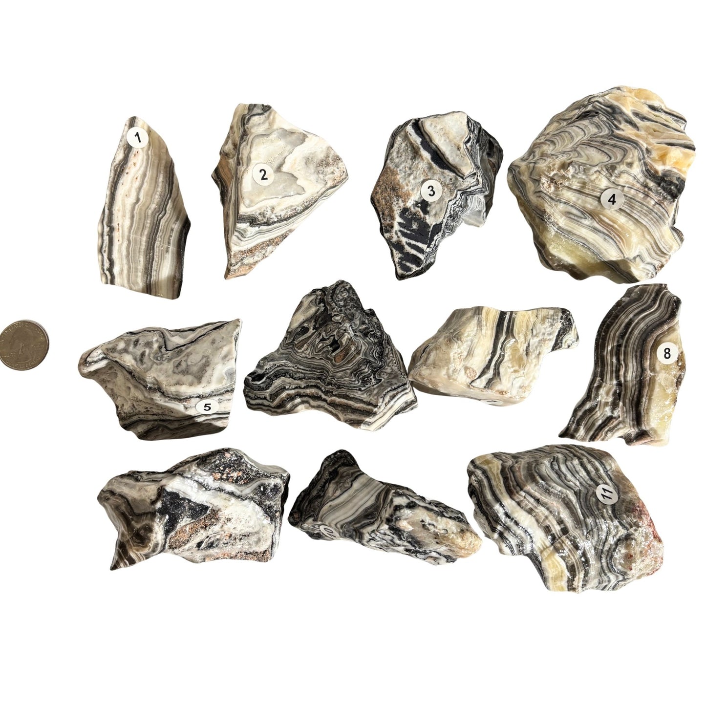 Zebra Calcite Raw Chunks – You Pick Natural Black and White Calcite