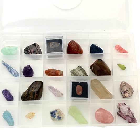 Crystal Advent Calendar – Curated Set of 24 Raw and Tumbled Crystals in Reusable Storage Container
