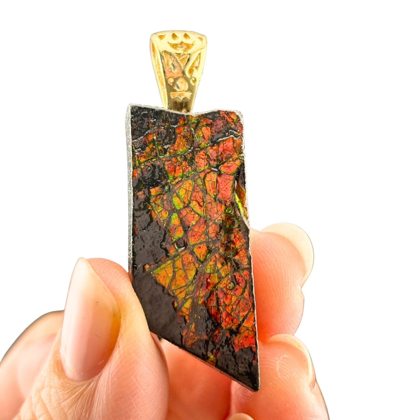 Ammolite Gold Pendant