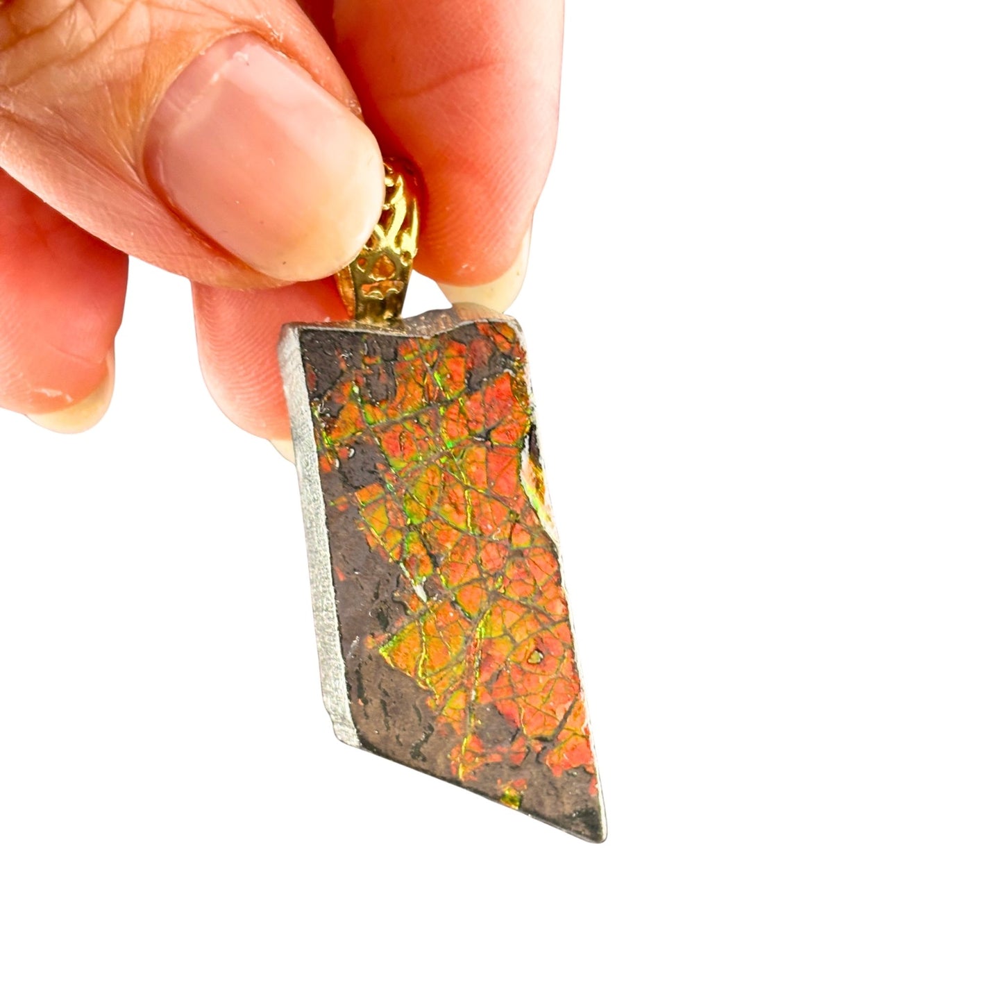 Ammolite Gold Pendant