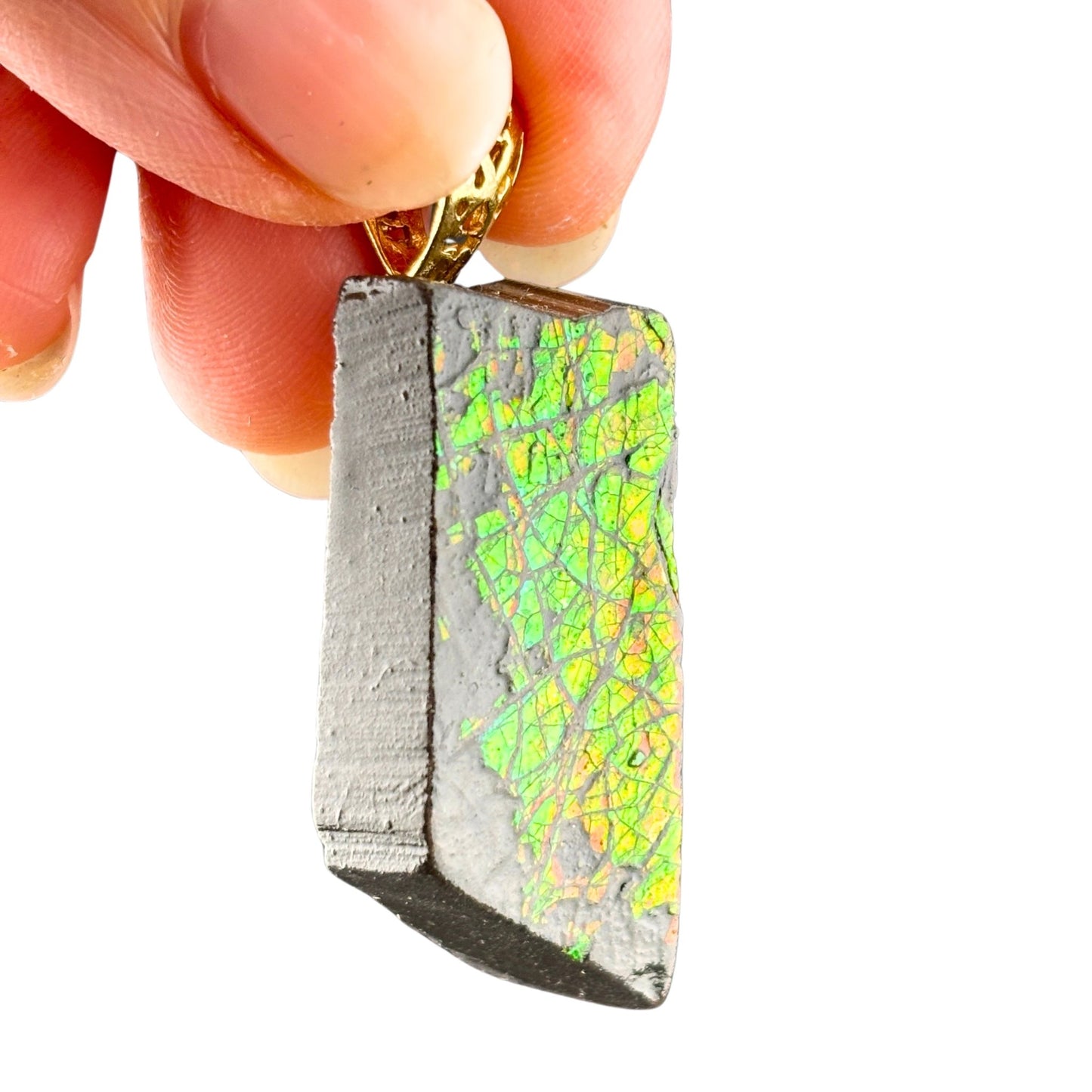 Ammolite Gold Pendant