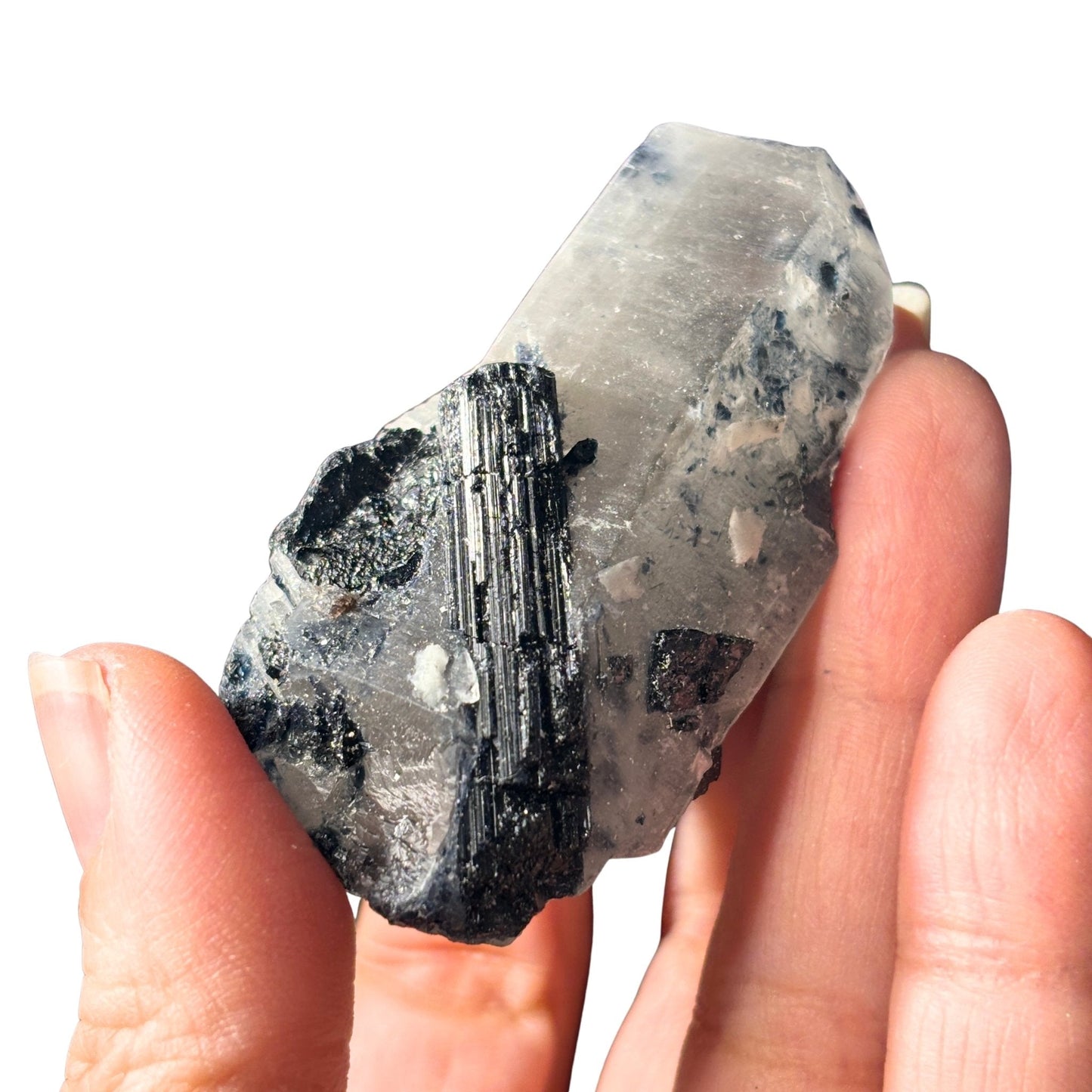 Black schorl tourmaline in quartz in hand 