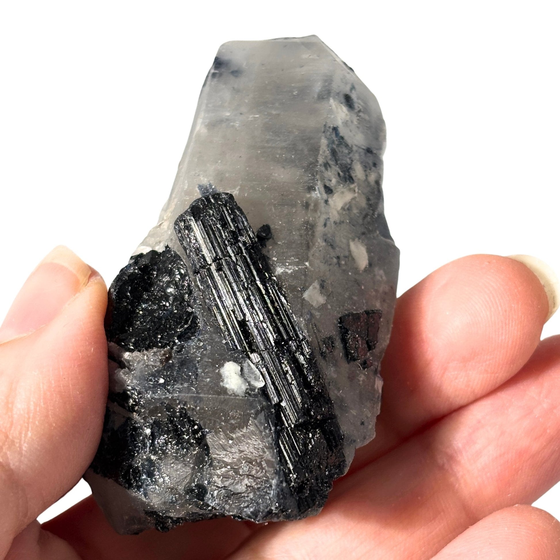 Black schorl tourmaline in quartz in hand 