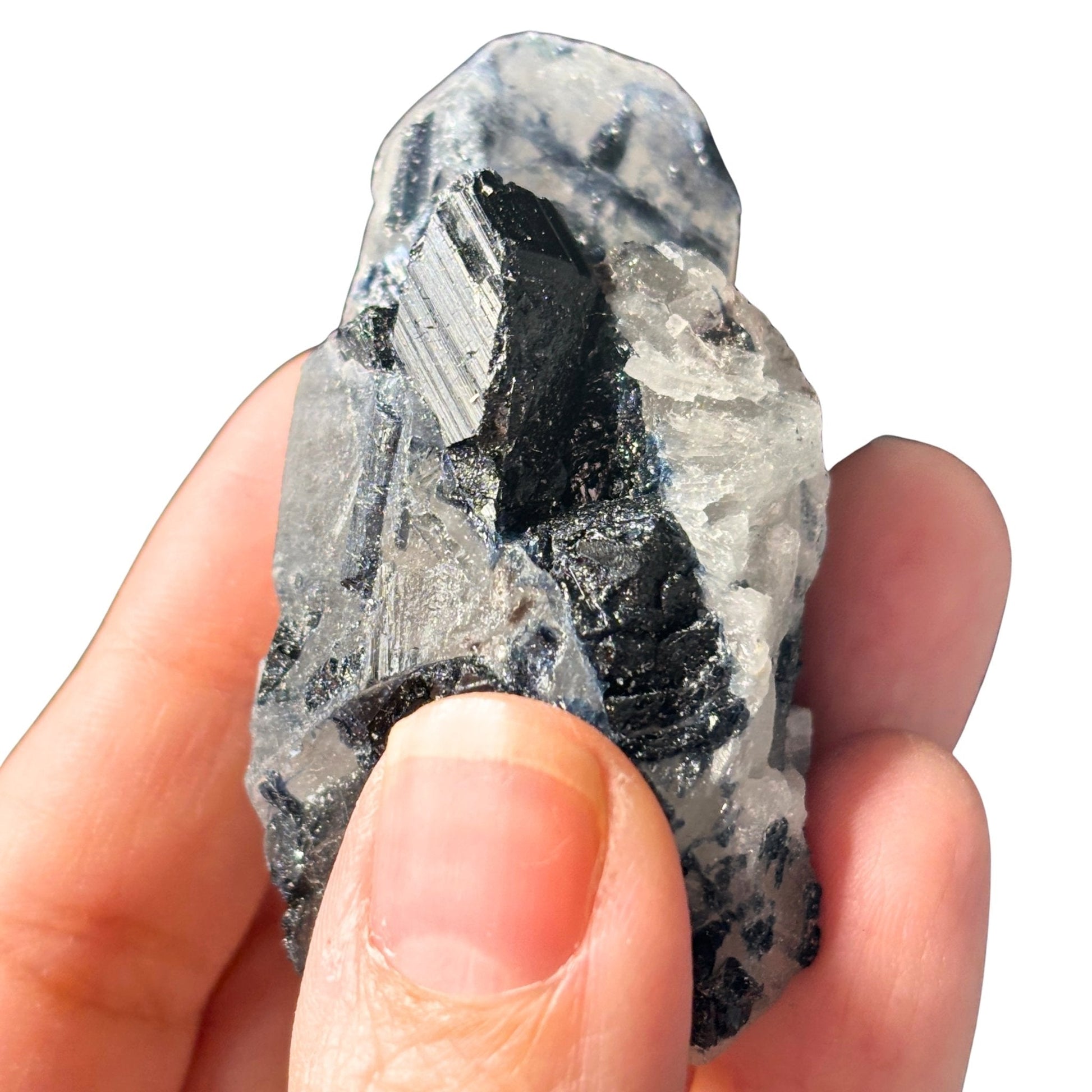 Black schorl tourmaline in quartz in hand 