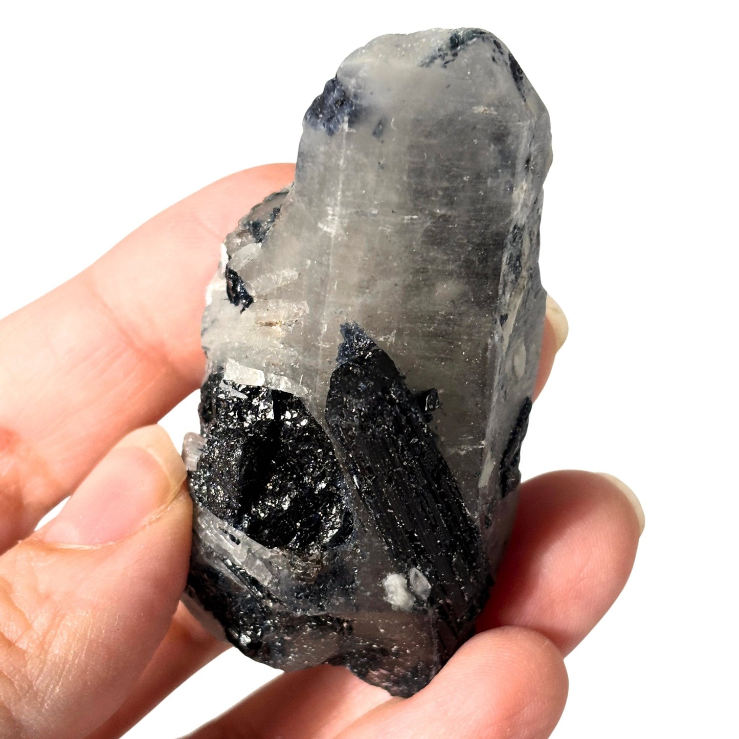 Black schorl tourmaline in quartz in hand 