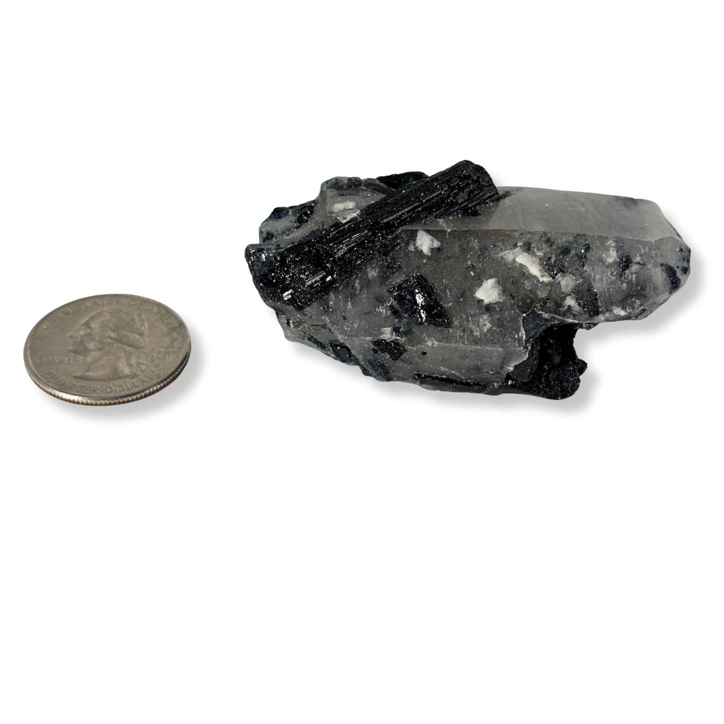 Size comparison of black tourmalinated quartz against a coin 