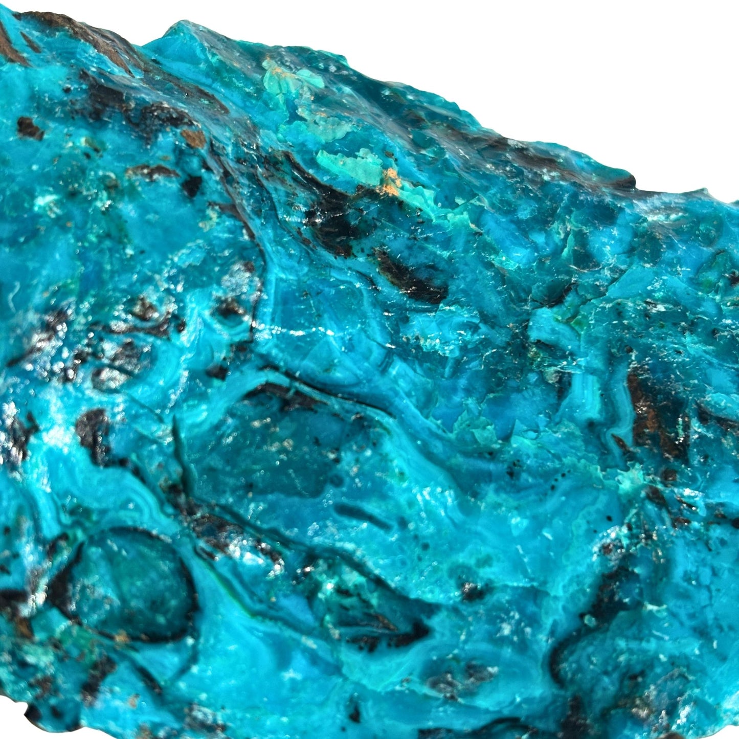 Chilean Blue Opal Vibrant 116g Rough Chunk #1