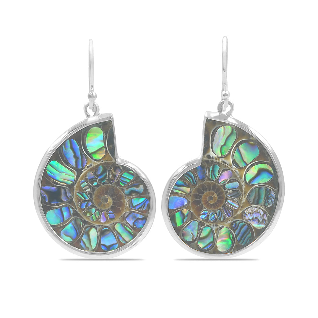 Abalone earrings