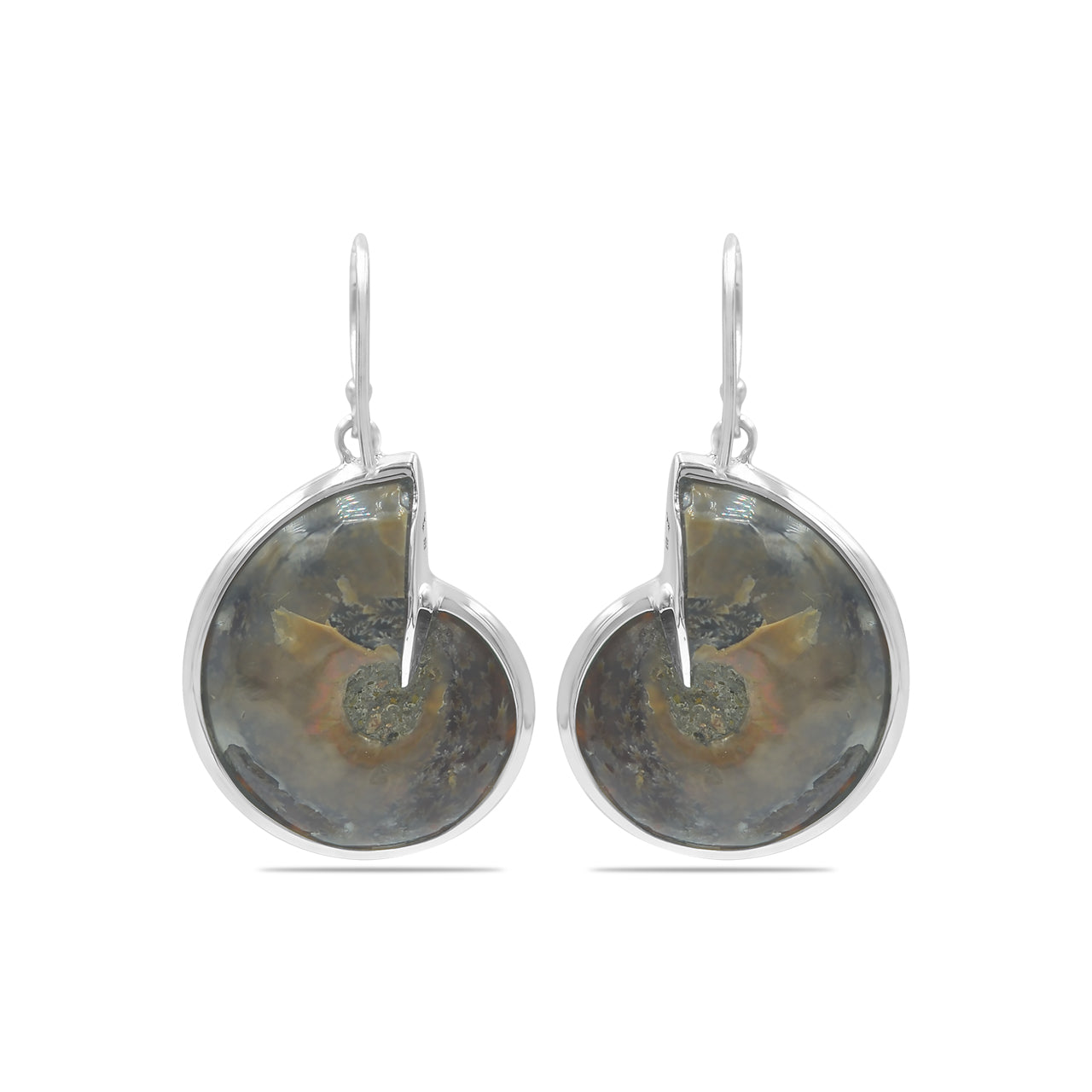 Ammonite with Abalone Shell Inlay Earrings in Sterling Silver from Starborn Creations