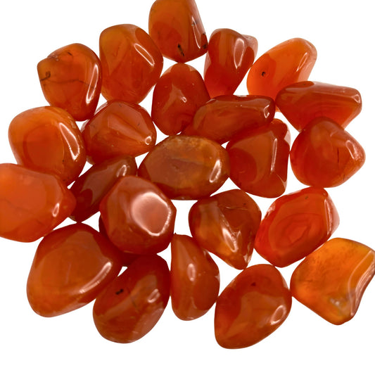 Carnelian Tumbled Pocket Stone in Multiple Sizes