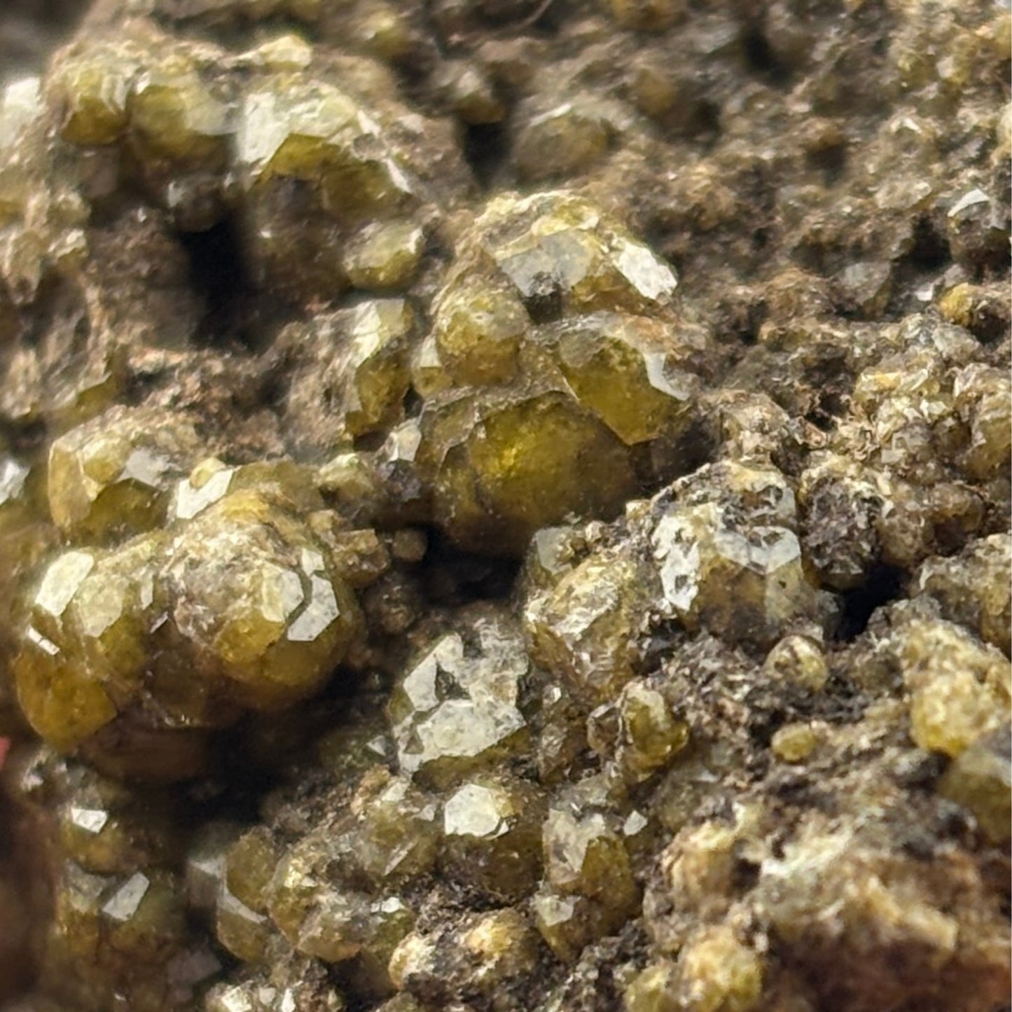 Green Garnet Crystal Cluster
