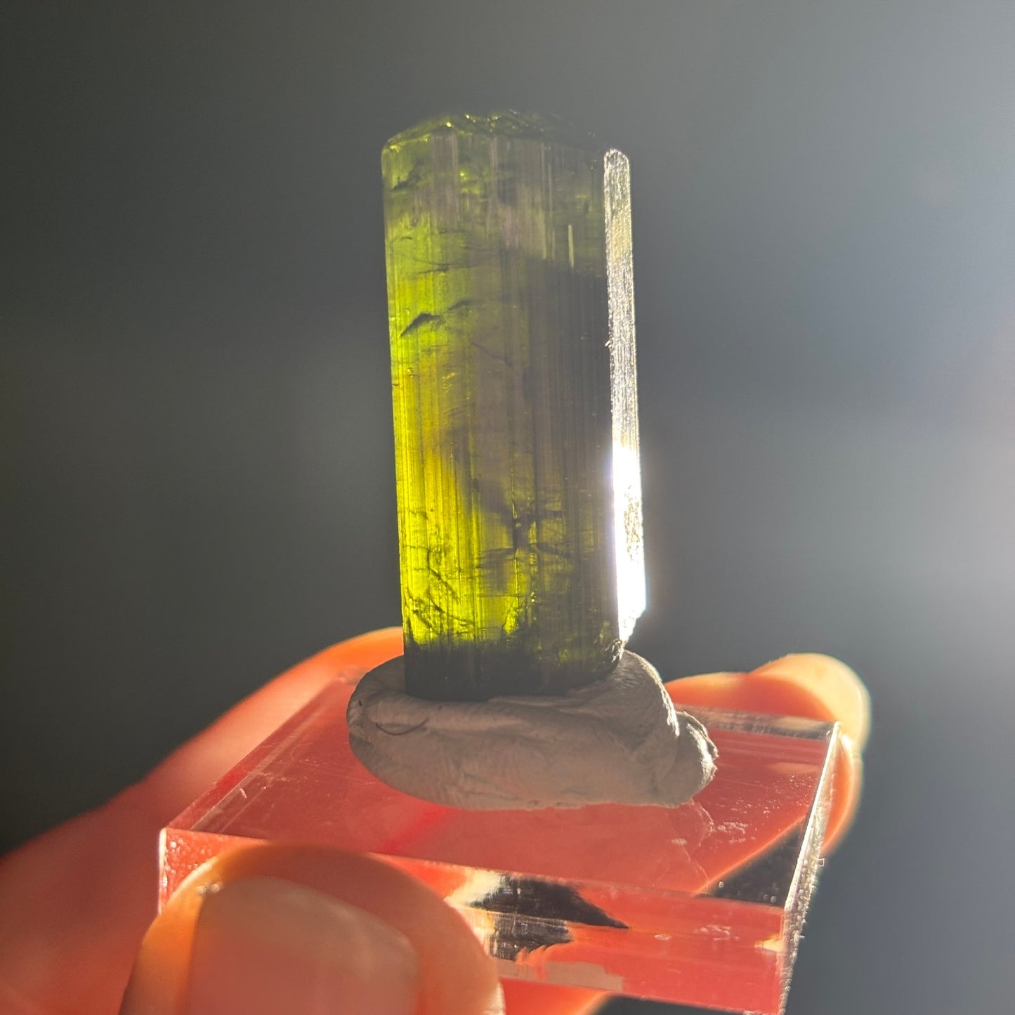 Green Tourmaline Terminated Crystal from Brazil