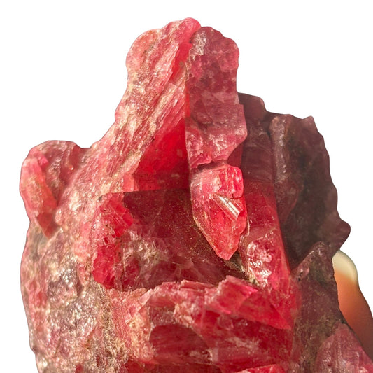 Red rhodonite crystal cluster 
