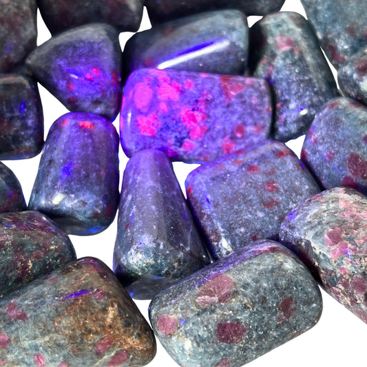 Ruby Kyanite UV Reactive Pocket Stone in Multiple Sizes