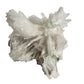 Scolecite crystal cluster on a white background