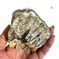 Zebra Calcite Raw Chunks – You Pick Natural Black and White Calcite