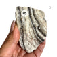 Zebra Calcite Raw Chunks – You Pick Natural Black and White Calcite