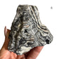 Zebra Calcite Raw Chunks – You Pick Natural Black and White Calcite