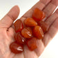 Carnelian Tumbled Pocket Stone in Multiple Sizes